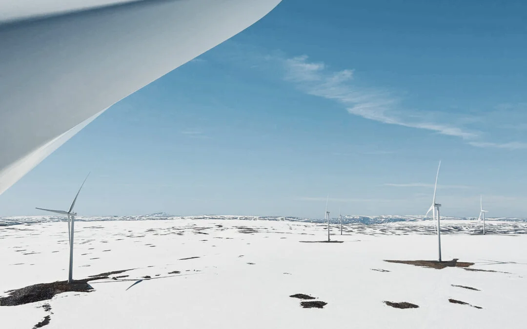 Onsite GWO Training – Realistic Scenario and Snow in June